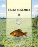 Az archiv�lt  verzi� megnyit�sa Open the archive version