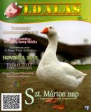 Az archiv�lt  verzi� megnyit�sa Open the archive version