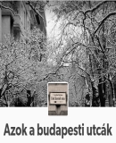 A h�l�zatos verzi� megnyit�sa Open the online version
