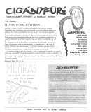 Az archiv�lt  verzi� megnyit�sa Open the archive version
