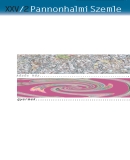 Az archiv�lt  verzi� megnyit�sa Open the archive version