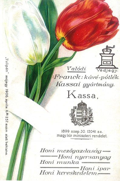 Tulip�nos k�peslap