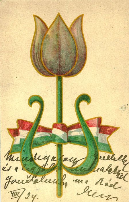 Tulip�njelv�nyes k�peslap