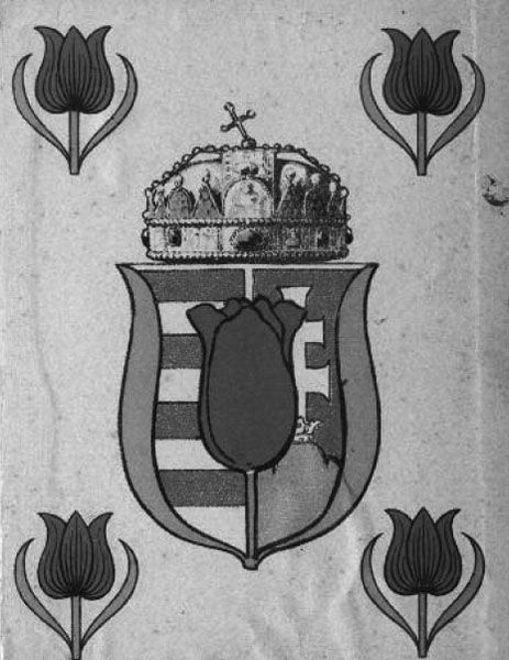 Tulip�nkert