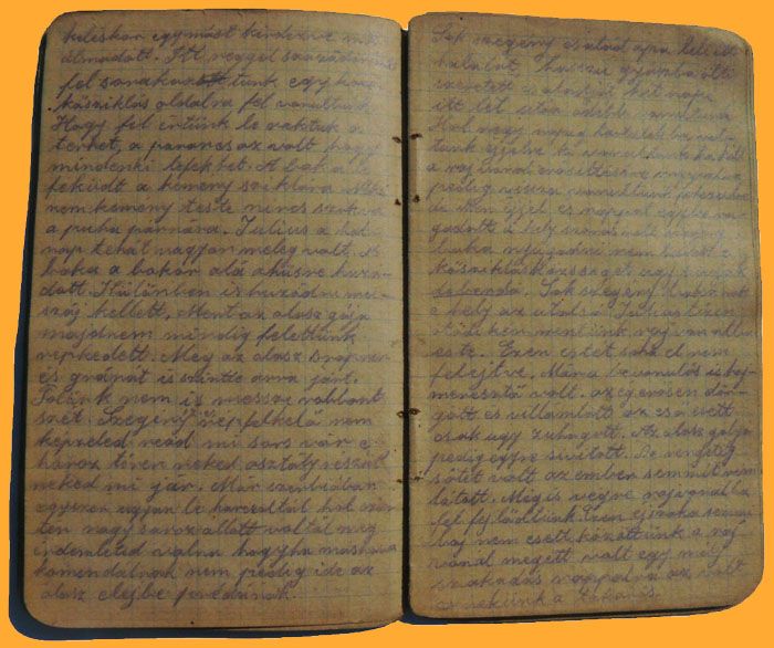 Tar�dy Ferenc napl�ja