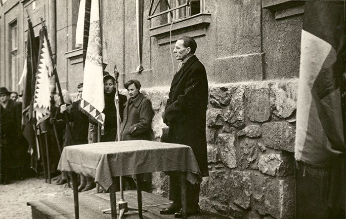 Vilko Novak