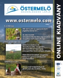 Az archiv�lt  verzi� megnyit�sa Open the archive version