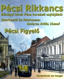 Az archiv�lt  verzi� megnyit�sa Open the archive version