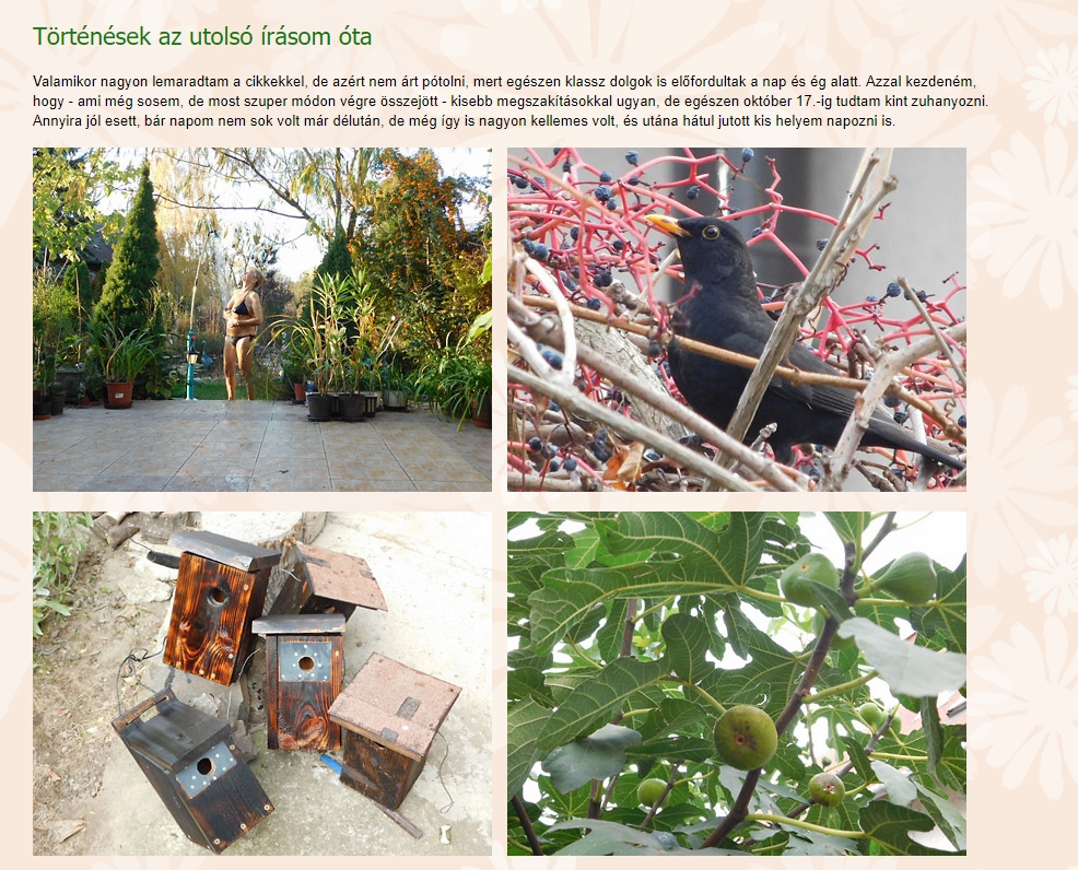 Csodakert magazin 2019.05.02.