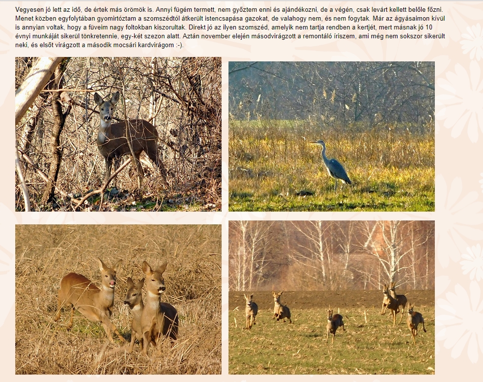Csodakert magazin 2019.05.02.