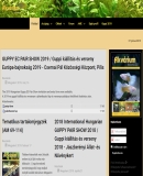 A h�l�zatos verzi� megnyit�sa Open the online version