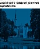 A h�l�zatos verzi� megnyit�sa Open the online version