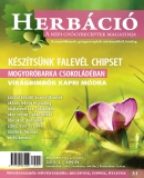 Az archiv�lt  verzi� megnyit�sa Open the archive version