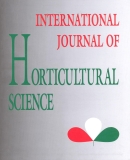 A h�l�zatos verzi� megnyit�sa Open the online version