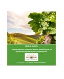 A h�l�zatos verzi� megnyit�sa Open the online version