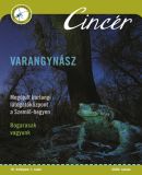 A h�l�zatos verzi� megnyit�sa Open the online version