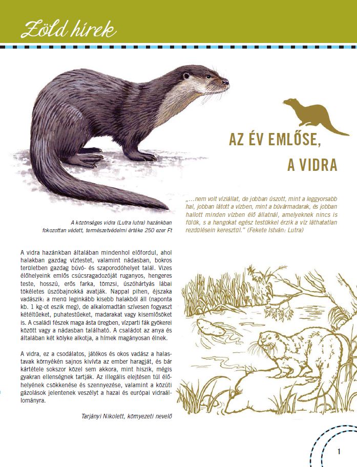 Cinc�r 2020.06.18.