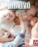 A h�l�zatos verzi� megnyit�sa Open the online version