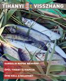 A h�l�zatos verzi� megnyit�sa Open the online version