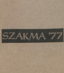 Az archiv�lt  verzi� megnyit�sa Open the archive version