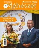 Az archiv�lt  verzi� megnyit�sa Open the archive version