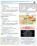 A h�l�zatos verzi� megnyit�sa Open the online version