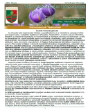 A h�l�zatos verzi� megnyit�sa Open the online version