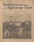 Az archiv�lt  verzi� megnyit�sa Open the archive version