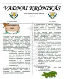 A h�l�zatos verzi� megnyit�sa Open the online version