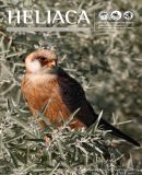 A h�l�zatos verzi� megnyit�sa Open the online version