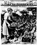 Az archiv�lt  verzi� megnyit�sa Open the archive version