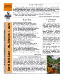 Az archiv�lt  verzi� megnyit�sa Open the archive version