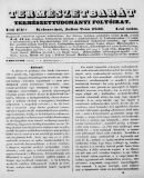 Az archiv�lt  verzi� megnyit�sa Open the archive version