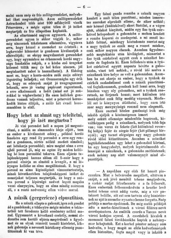 Hetilap 2026.02.11.