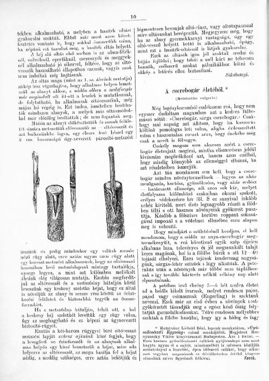 Gy�m�lcskert�sz 2026.03.27.